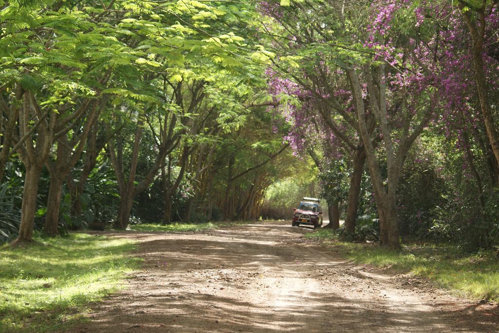 Moivaro Coffee Lodge Arusha Exteriér fotografie